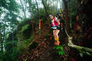 BIB: 
                            <button type="button" onclick="openModal(26231749)" class="btn btn-primary btn-sm float-right btn-popup" data-toggle="modal" data-target=".modal-high-quality">
                        <i class="fas fa-shopping-cart"></i> Add to Cart
                    </button>
                                            <button type="button" onclick="isThisMe(26231749, true)" class="btn btn-success btn-sm float-right btn-popup btn-isme hidden" data-toggle="tooltip" data-placement="bottom" title="นี่คือรูปของคุณใช่ไหม คลิกที่นี่เพื่อเอาเข้าอัลบั้ม">
                        <i class="fas fa-plus"></i> Add to album
                    </button>
                    <button type="button" onclick="isThisMe(26231749, false)" class="btn btn-warning btn-sm float-right btn-popup btn-isnotme hidden">
                        <i class="fas fa-ban"></i> Remove from album
                    </button>